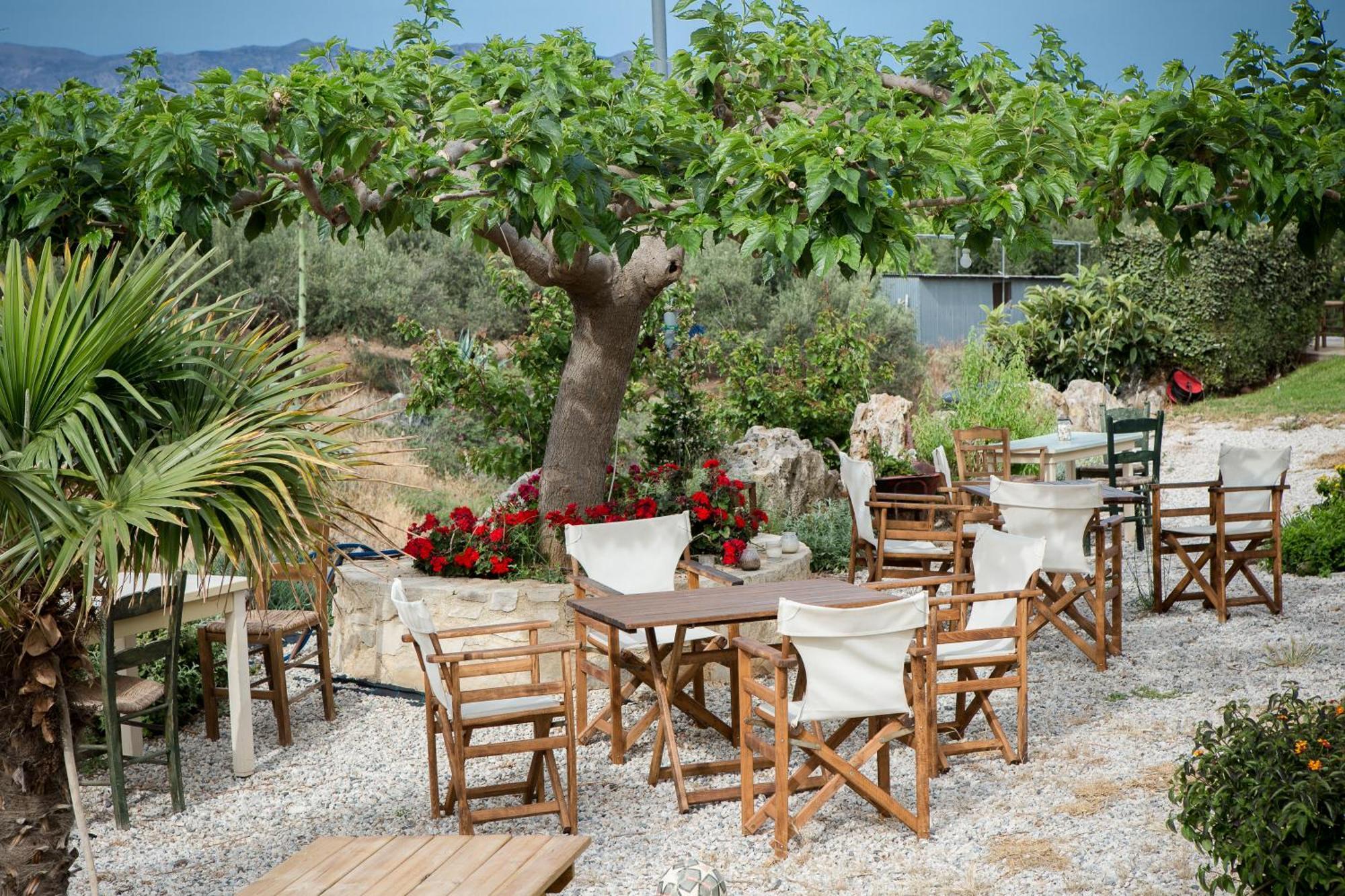 Agarathos Traditional Rooms With Pool Kalivianí Dış mekan fotoğraf